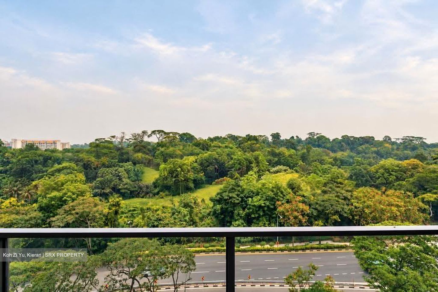 Pinetree Hill (D21), Condominium #638255331